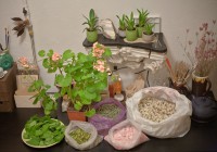 http://www.ponomoona.ru/files/gimgs/th-122_53_IMG_0396_v2.jpg